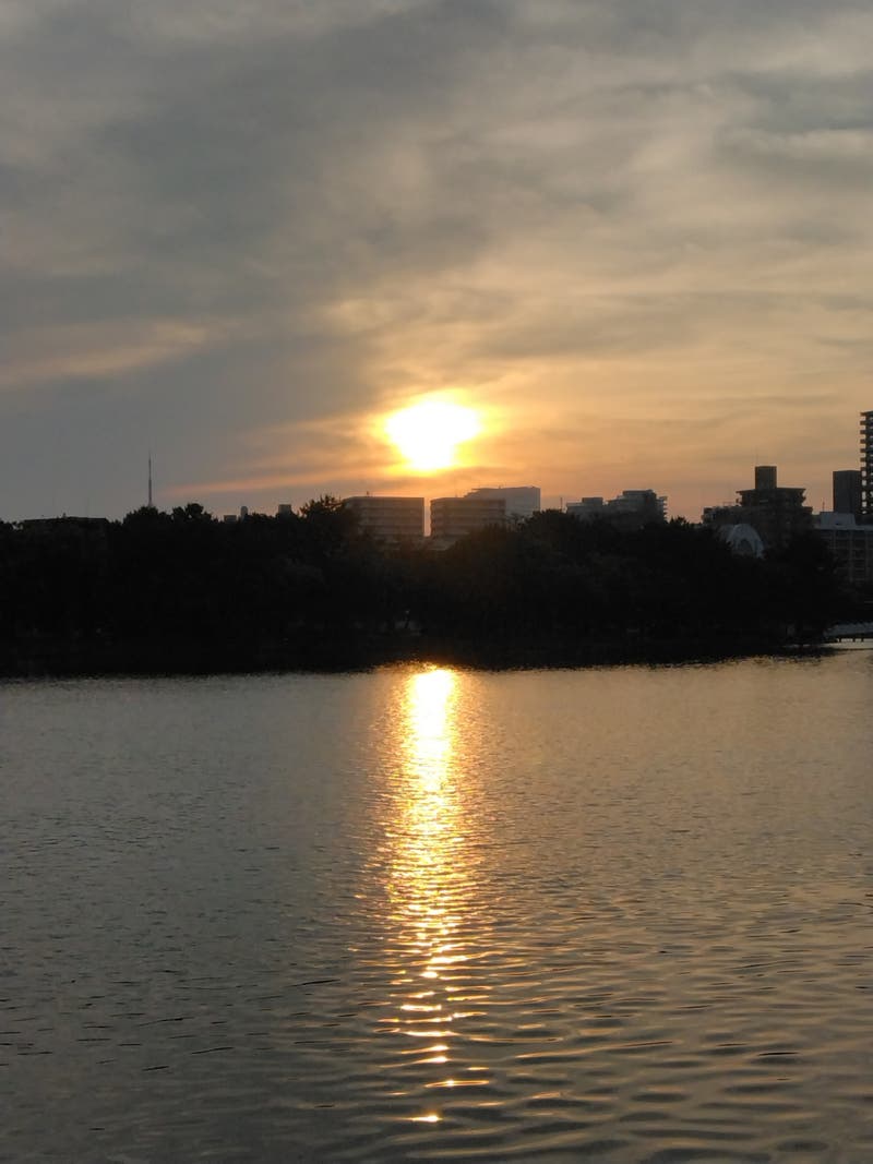 ee6a89d9-ae94-428e-868c-386f4fee0587