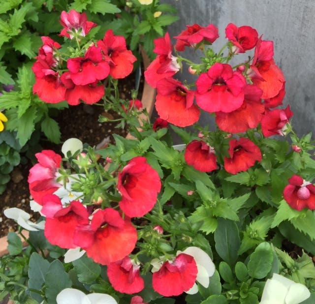 まっちゃんと歩けば… 2364