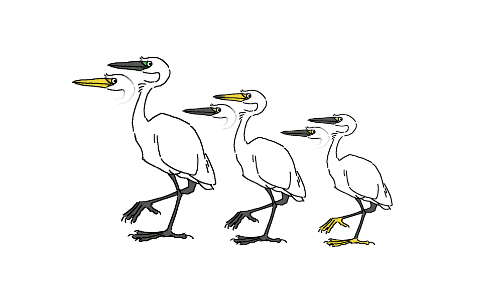 シラサギトリオ