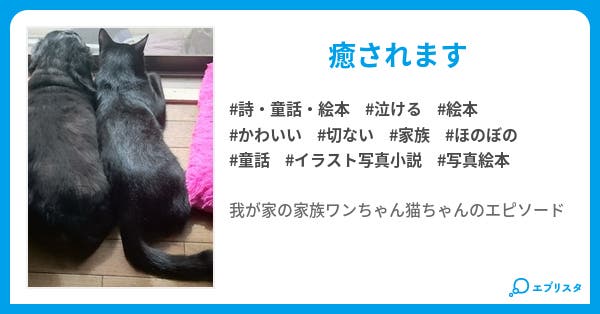 猫と犬の写真絵本 短編集 詩 童話 絵本小説 未来ミキ 小説投稿エブリスタ 猫と犬の写真絵本 短編集 詩 童話 絵本小説 未来ミキ 小説投稿エブリスタ