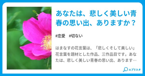 はまなす 悲しくそして美しい 恋愛小説 れいそん 小説投稿エブリスタ はまなす 悲しくそして美しい 恋愛小説 れいそん 小説投稿エブリスタ
