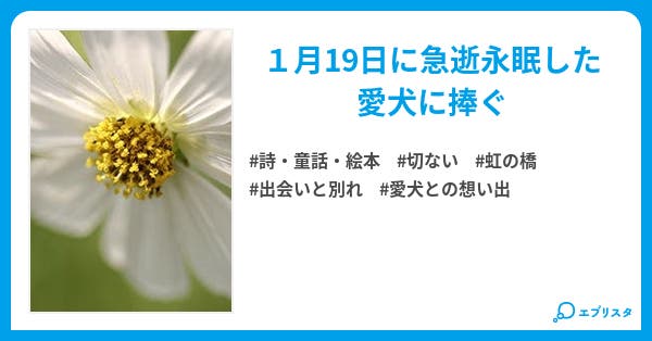 虹の橋の向こうには 詩 童話 絵本小説 赤村嬉享 小説投稿エブリスタ 虹の橋の向こうには 詩 童話 絵本小説 赤村嬉享 小説投稿エブリスタ